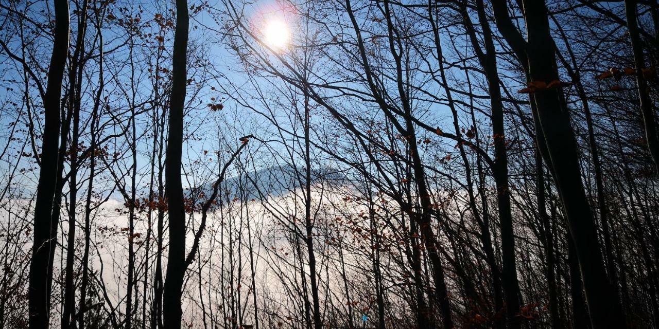 Zimmervermietung Stocker Waidhofen an der Ybbs Exteriér fotografie